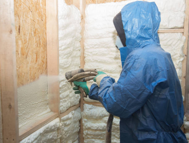 Professional Insulation Services in Fabrica, TX